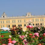 Studio ESSECI - NEL SEGNO DEL GIGLIO. 27^ Mostra mercato del giardinaggio di qualità 3