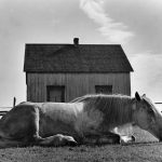 Studio ESSECI - WALTER ROSENBLUM. Master of Photography 7