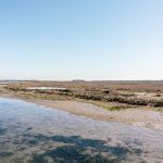 Studio ESSECI - UN OSTRIARIUM ROMANO NELLA LAGUNA DI VENEZIA 8