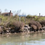 Studio ESSECI - UN OSTRIARIUM ROMANO NELLA LAGUNA DI VENEZIA 6