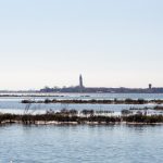 Studio ESSECI - UN OSTRIARIUM ROMANO NELLA LAGUNA DI VENEZIA 5