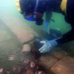 Studio ESSECI - UN OSTRIARIUM ROMANO NELLA LAGUNA DI VENEZIA 9