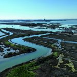 Studio ESSECI - UN OSTRIARIUM ROMANO NELLA LAGUNA DI VENEZIA 10