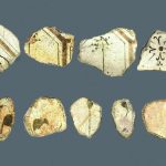 Studio ESSECI - UN OSTRIARIUM ROMANO NELLA LAGUNA DI VENEZIA 2