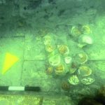 Studio ESSECI - UN OSTRIARIUM ROMANO NELLA LAGUNA DI VENEZIA 3