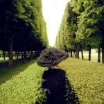 Studio ESSECI - RODNEY SMITH. Fotografia tra reale e surreale 2