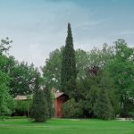 Studio ESSECI - IL PARCO ROMANTICO DELLA FONDAZIONE MAGNANI-ROCCA TORNA AL SUO ANTICO SPLENDORE 6