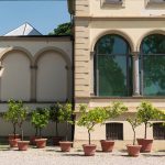 Studio ESSECI - IL PARCO ROMANTICO DELLA FONDAZIONE MAGNANI-ROCCA TORNA AL SUO ANTICO SPLENDORE 9