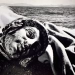 Studio ESSECI - ISOLE E IDOLI 4