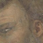 Studio ESSECI - "Caring for art. Restauri in mostra". SULLE TRACCE DI GIOTTO A ROMA: il Frammento Vaticano
