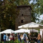 Studio ESSECI - VERDE GRAZZANO 2025 10