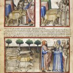 Studio ESSECI - LA BIBBIA ISTORIATA PADOVANA. La città e i suoi affreschi 8