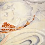 Studio ESSECI - Bozza automatica 30