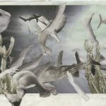 Studio ESSECI - SUL LEGGERE. UNA STAGIONE DI MOSTRA FOTOGRAFICHE A PORDENONE Robert Doisneau, Olivia Arthur, Seiichi Furuya e Stefanie Moshammer 8