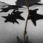 Studio ESSECI - EDEN. Il giardino dell’anima Di Anna Caterina Masotti 4