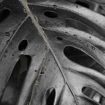 Studio ESSECI - EDEN. Il giardino dell’anima Di Anna Caterina Masotti 5